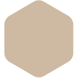 BEIGE BONGO