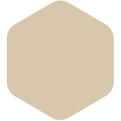 BEIGE SILICE