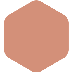 OCRE TERNET