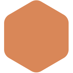 ORANGE JAVANAISE